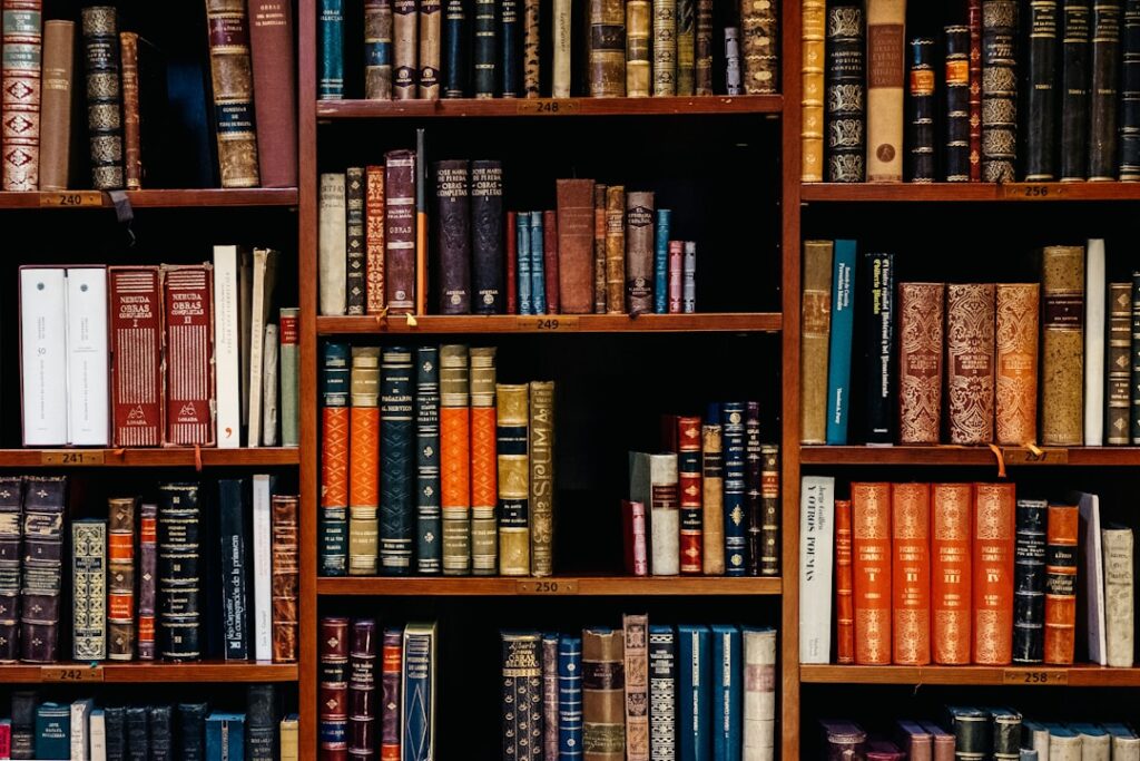 Passion as a Compass: Finding Your Ideal Educational Direction