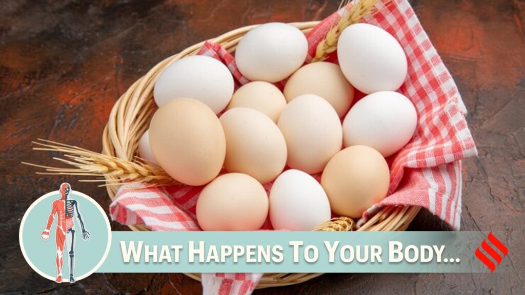 eating 3 eggs a day