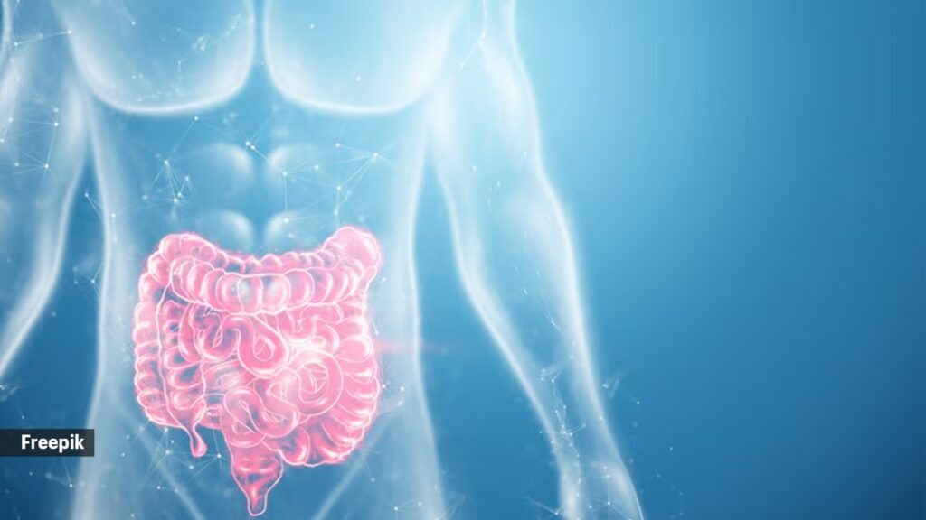 How do these foods benefit gut health?
