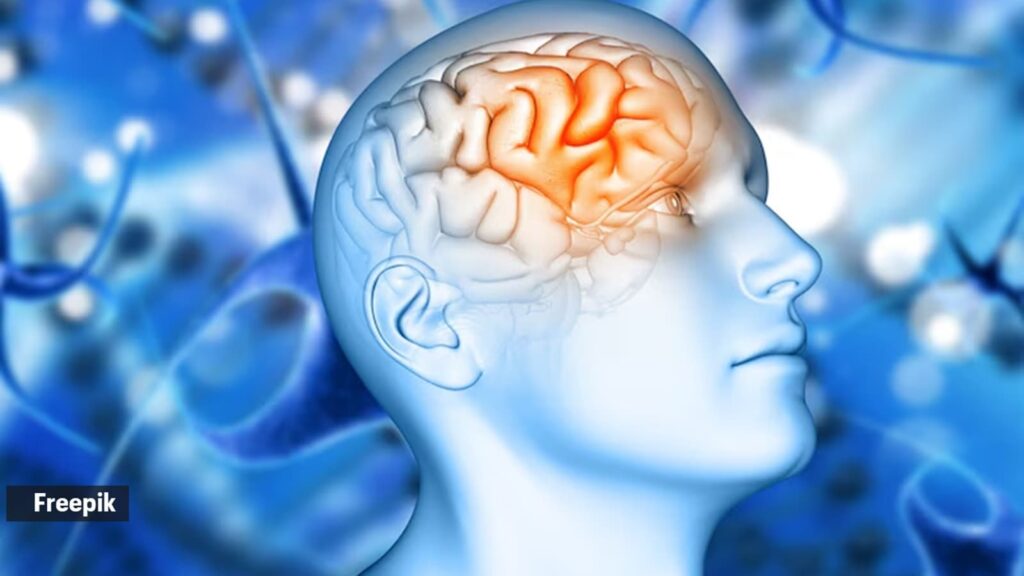 brain health