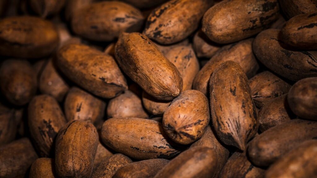 tamarind seeds