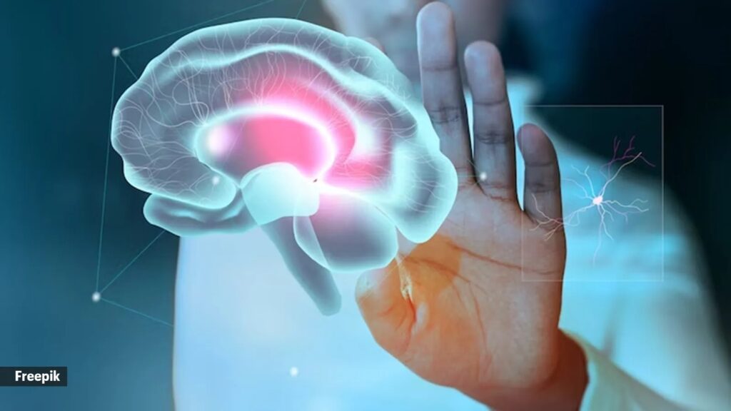 brain activity
