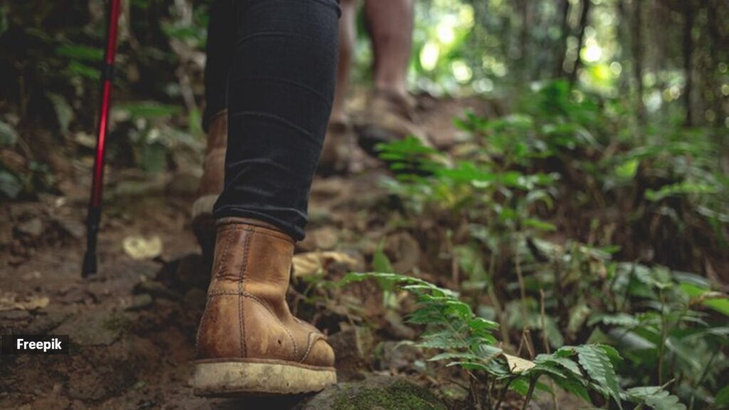 Studies have shown that consistent physical activity is closely linked to increased life expectancy, climb